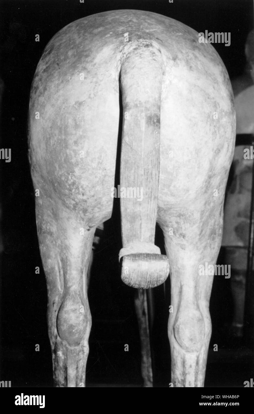 Rear view of a Ch'in cavalry horse with beautifully combed tail Stock Photo