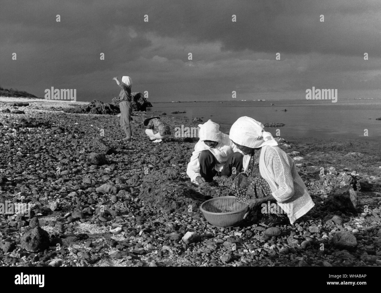 Women from more than a hundred families still gather shellfish and at least eight seasonal varieties of seaweed from the shore or reef at Shiraho Stock Photo