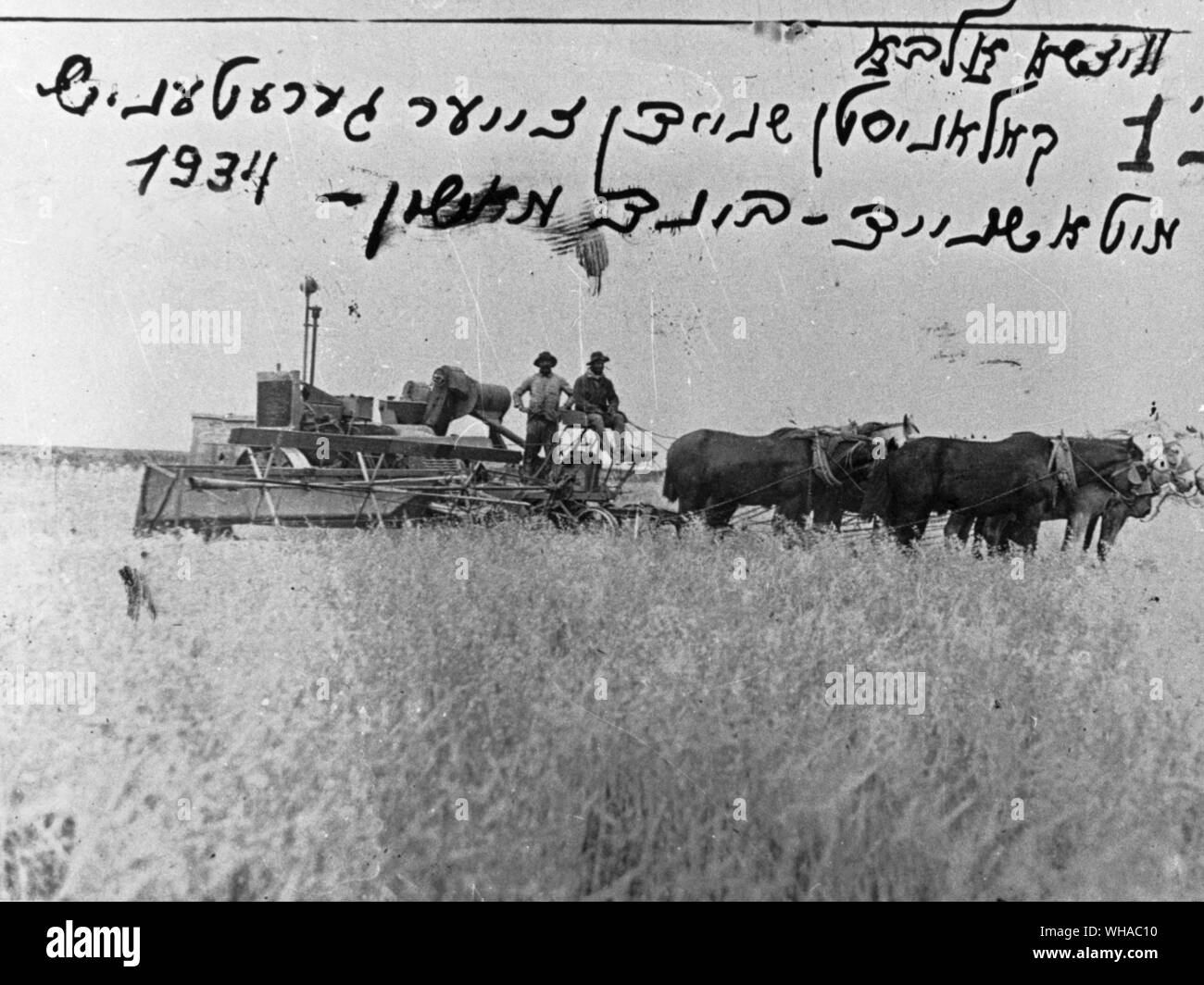 Early Jewish Colonists in Argentina during the harvest of 1934 Stock Photo