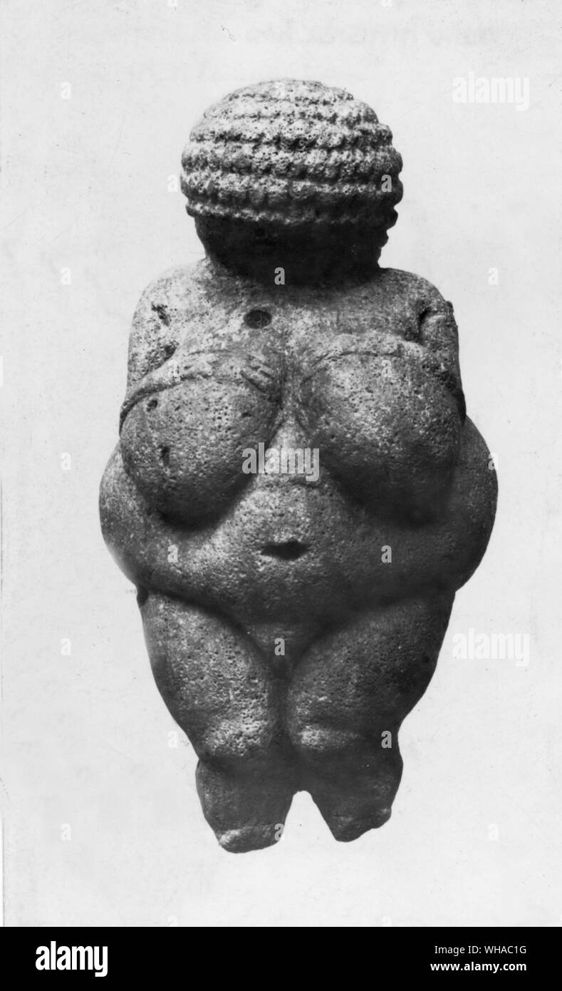 Aurignacian: the Venus of Willendorf one of the best known fertility figures. The most famous early image of a human, a woman, is the so-called Venus of Willendorf, found in 1908 by the archaeologist Josef Szombathy [see BIBLIOGRAPHY] in an Aurignacian loess deposit in a terrace about 30 meters above the Danube near the town of Willendorf in Austria.. The earliest notice of its discovery appeared in a report by the Yale anthropologist George Grant MacCurdy (1863-1947) who happened to be in Vienna in the summer of 1908. Although the greater part of the collection of finds from the site had not Stock Photo