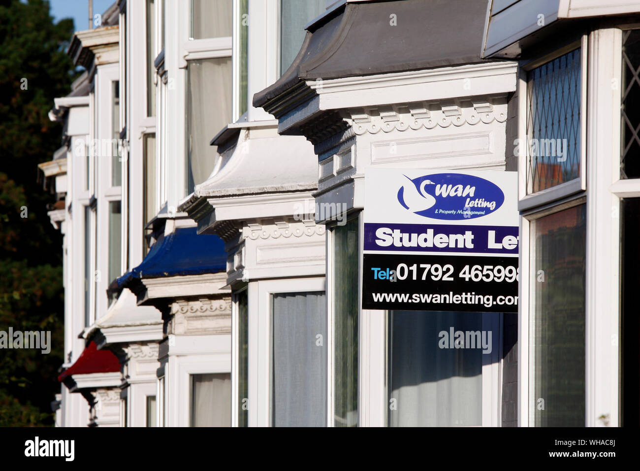 Student letting sign on the front of a terraced rental property Stock Photo