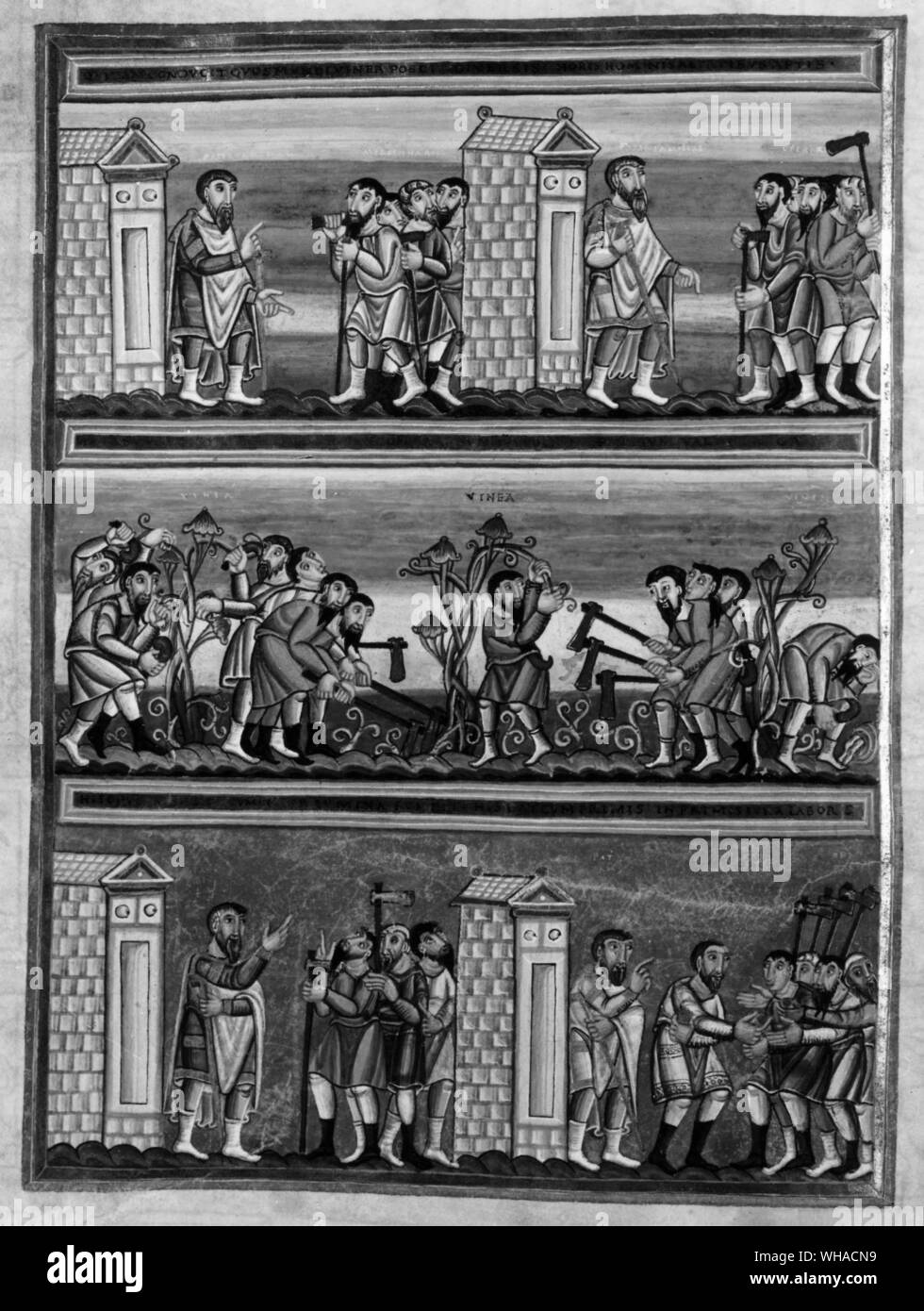 Workers in a vineyard from the Echternach Codex Nurnberg, Germany Stock Photo