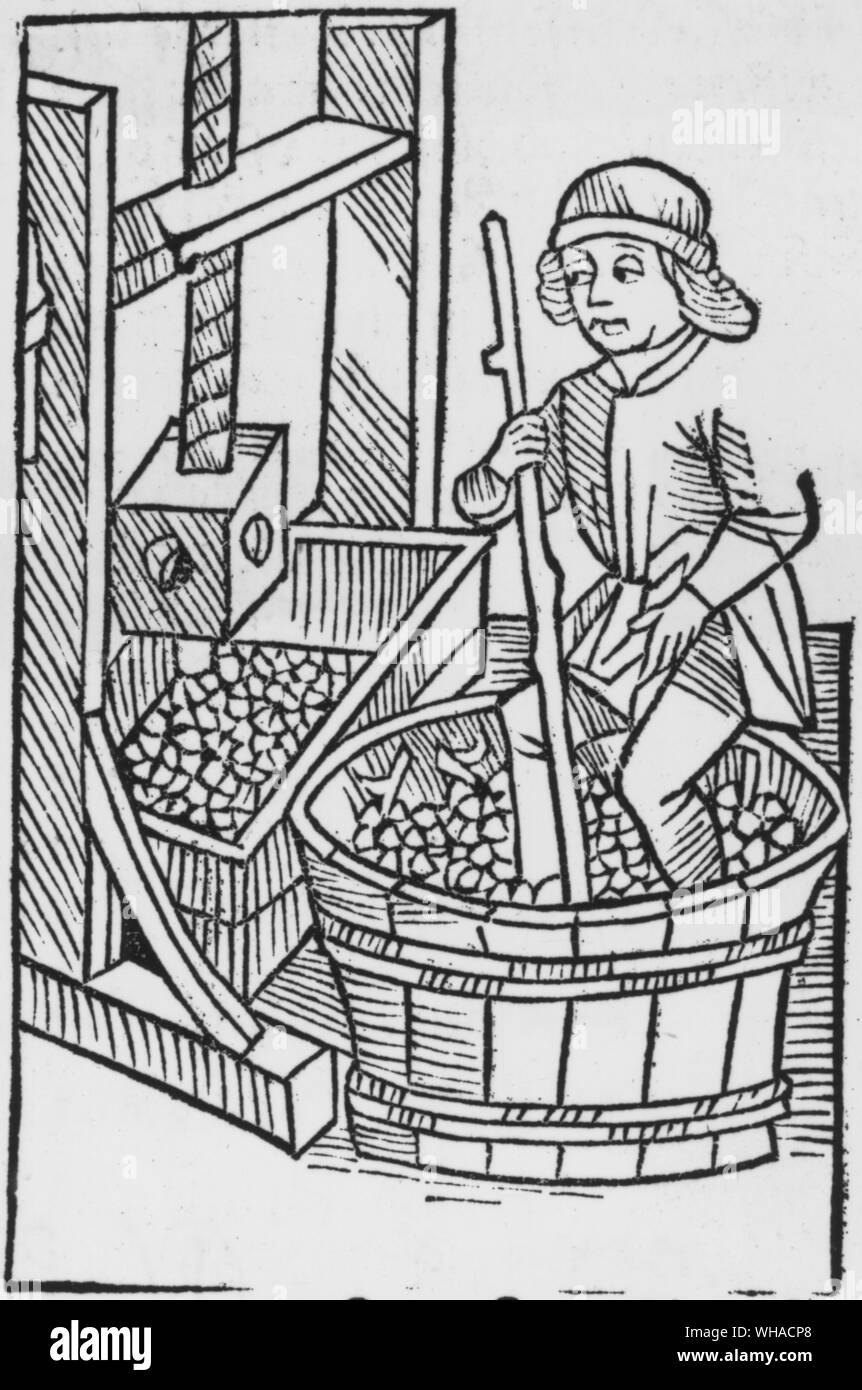 Treading grapes from Livre de Prouffitz Champetres. Petrus de Crescentis 1529 Stock Photo