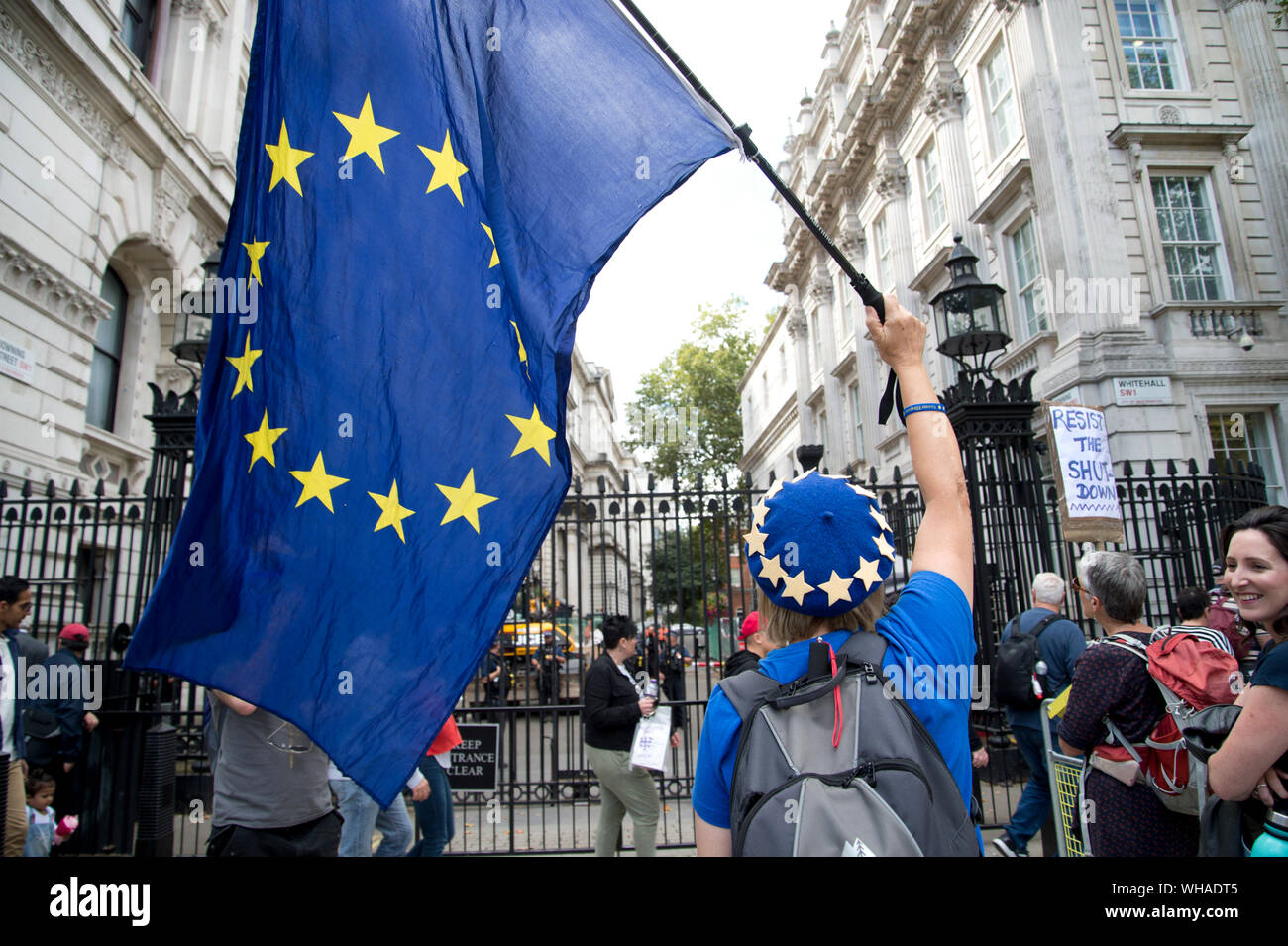 Parliament, Whitehall 2.9.2019. A Remain supporter protests outside Downing Street, waving a European flag Stock Photo
