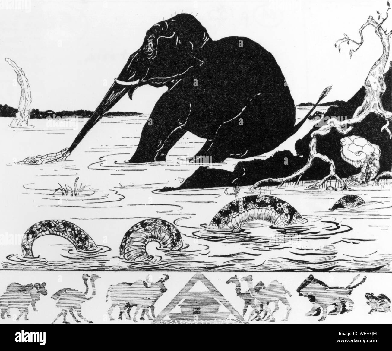 This is the Elephants Child having his nose pulled by the crocodile. He is talking through his nose and saying 'let go! You are hurting me! (From Kipling's own caption to his own illustration') Stock Photo