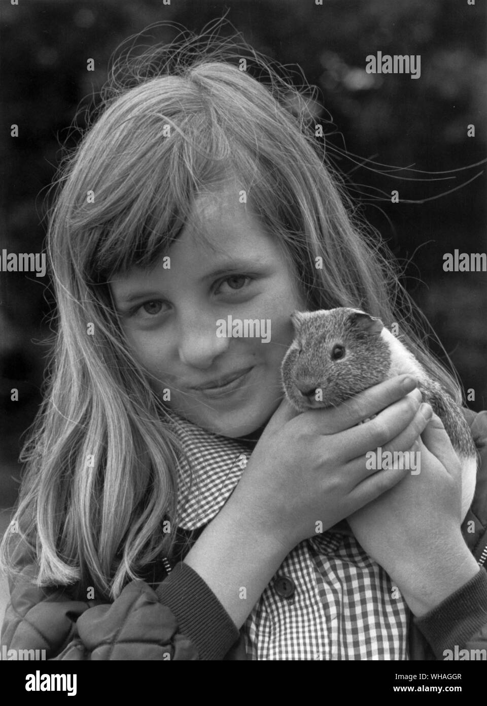 Lady Diana Spencer and her guinea pig called Peanuts Stock Photo