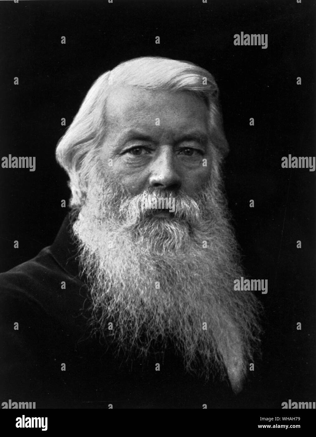 Joseph Wilson Swan. Inventor of the Carbon Process (Autotype). and of the Rapid Dry Plate. Swan, Joseph Wilson, Sir English chemist and inventor _1828-1914 . . . . . Stock Photo