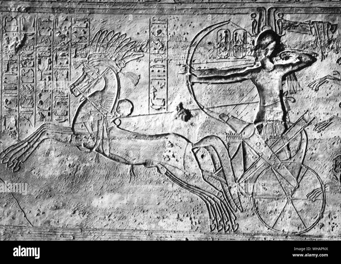 Rameses II in his Chariot. Rameses II (19th dynasty), son of Seti I, was around thirty years old when he became king of Egypt - and then reigned for 67 years. He had many wives, among them some of his own near relatives, and was the father of about 111 sons and 51 daughters. . Stock Photo