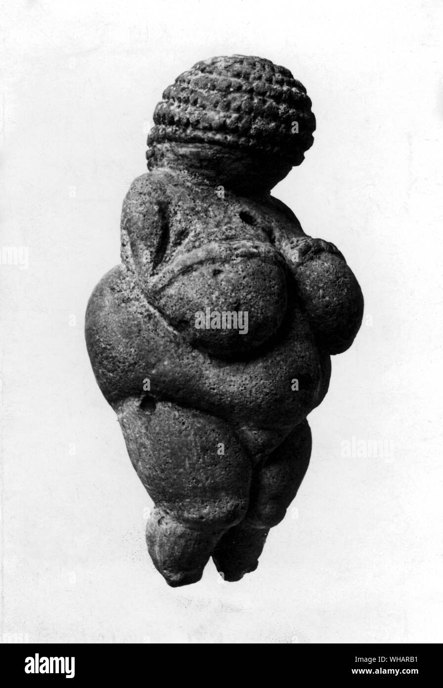 Paleaolithic sculpture. Fertility figure the Venus of Willendorf from Savignano sul Panaro found in 1908 by the archaeologist Josef Szombathy [see BIBLIOGRAPHY] in an Aurignacian loess deposit in a terrace about 30 meters above the Danube near the town of Willendorf in Austria. . . Stock Photo
