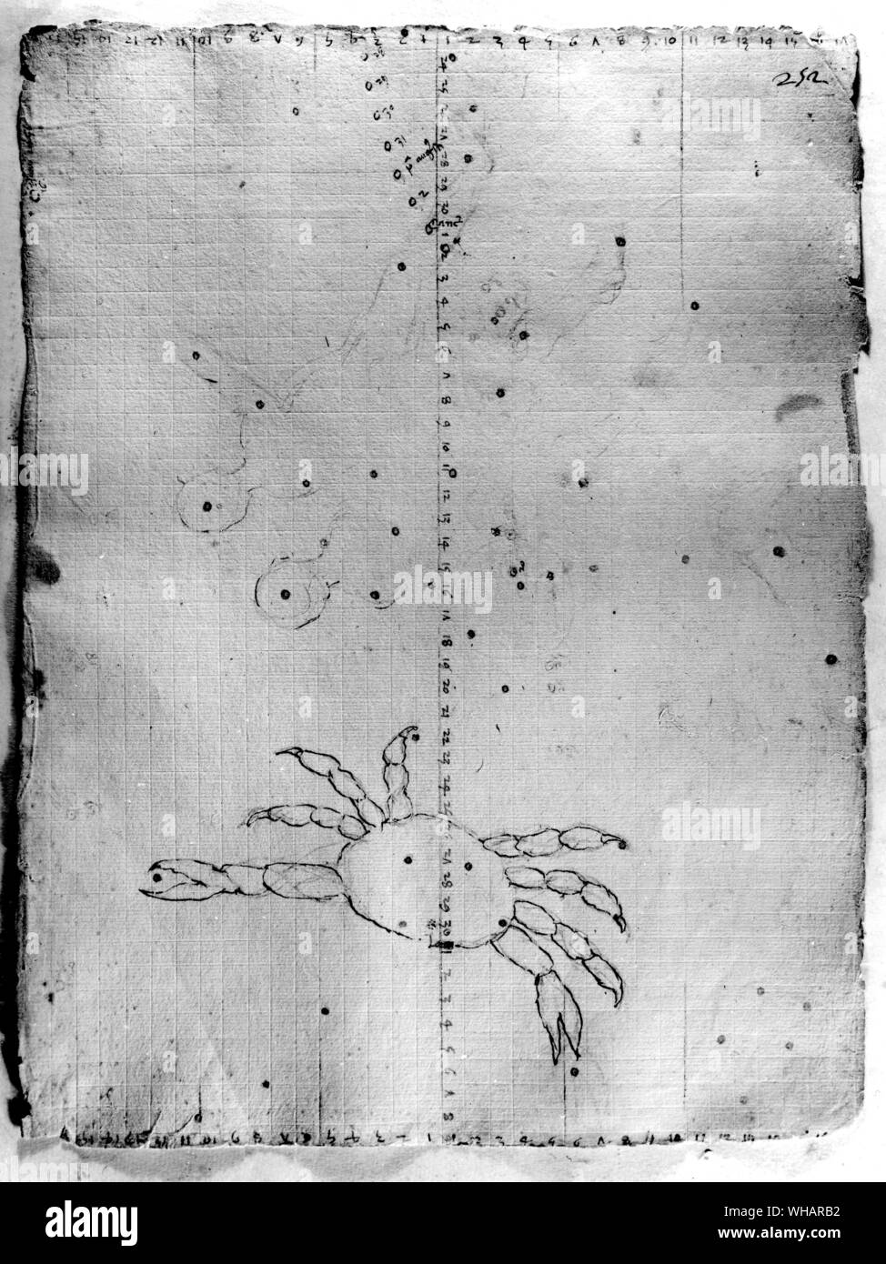 One of the drawings in Discorso sopra la cometa del 1456 by P Toscanelli. Shows constellations in the form of crab, twins, plotted on grid first designed by Toscanelli Stock Photo