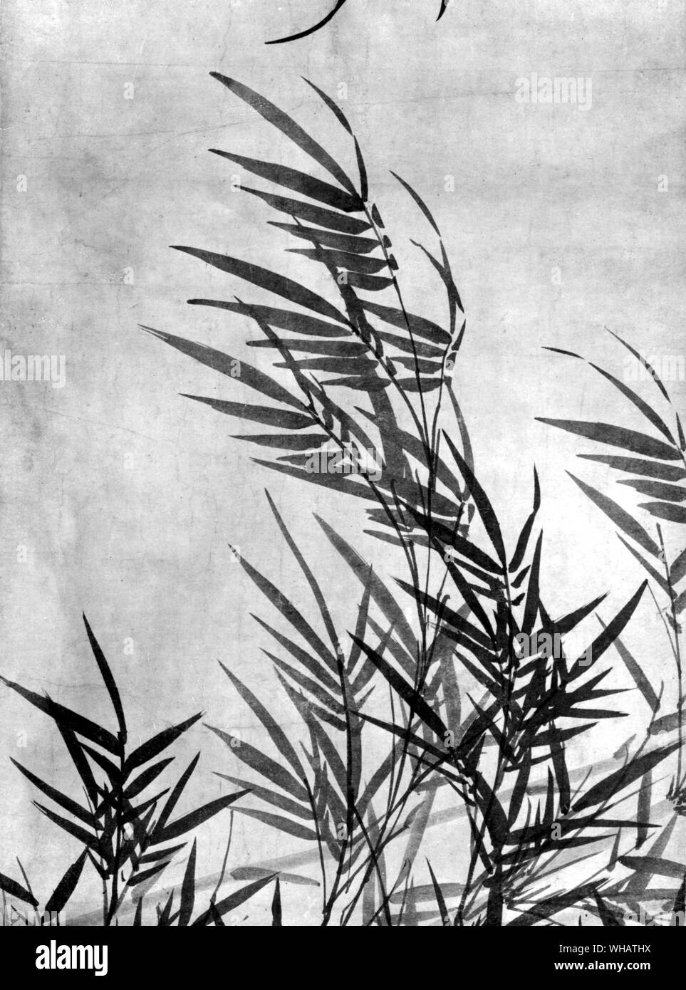 Painting, Chinese Li K'an ( Li Hsi Chai ) 1260-1310. Ink bamboo dated 1308. Paper hand scroll Stock Photo