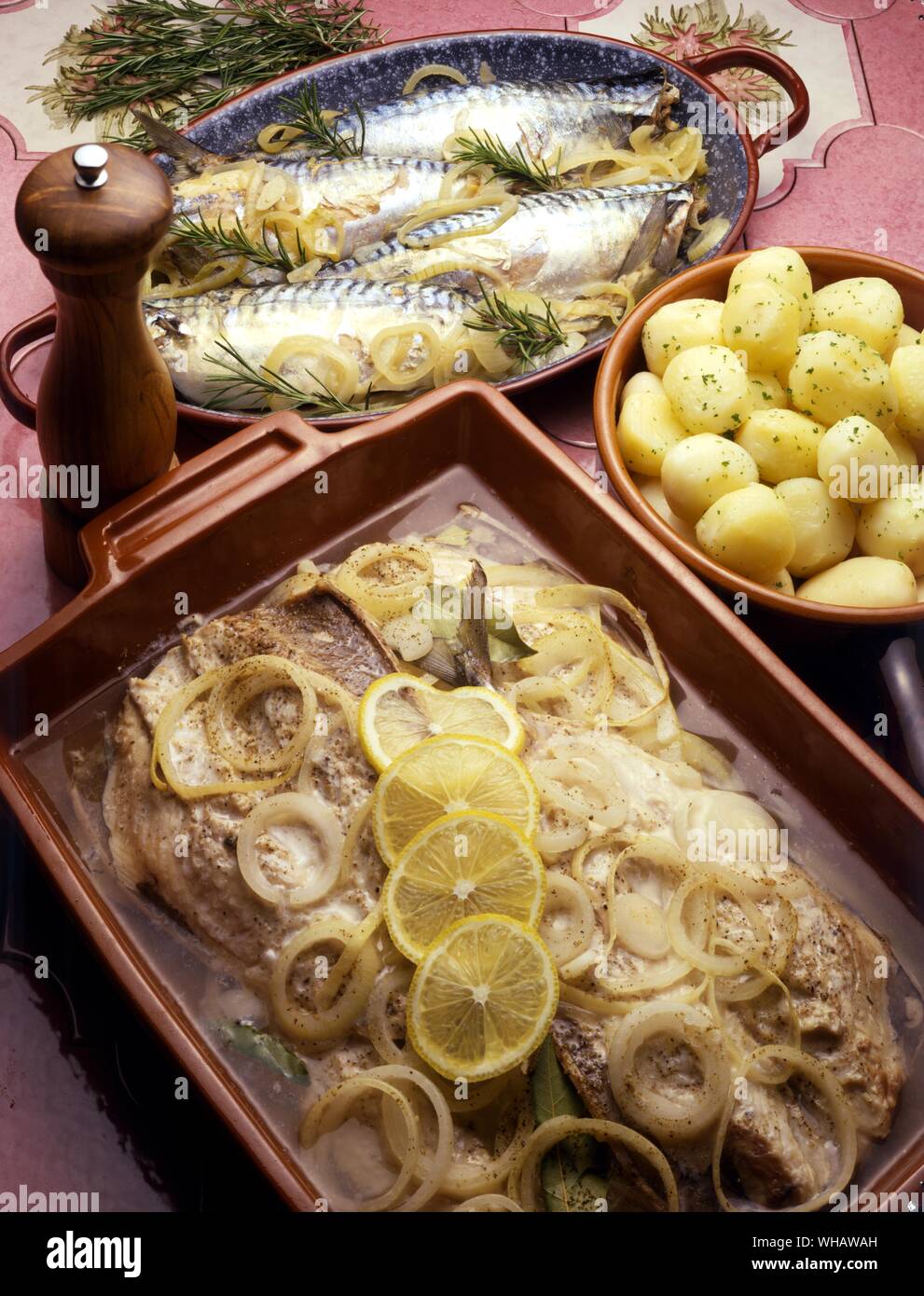 Italian Cooking By Robin Howe. . Top.. Sgombri Con Marinata.. Marinated Mackerel.. . Bottom.. Sgombri Alla Sarda.. Sardinian Style Mackerel. Stock Photo