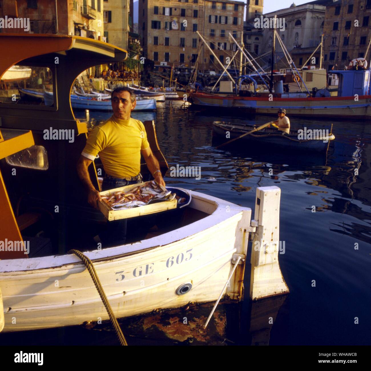 . Fishing Port of Camogli In Liguria, Stock Photo
