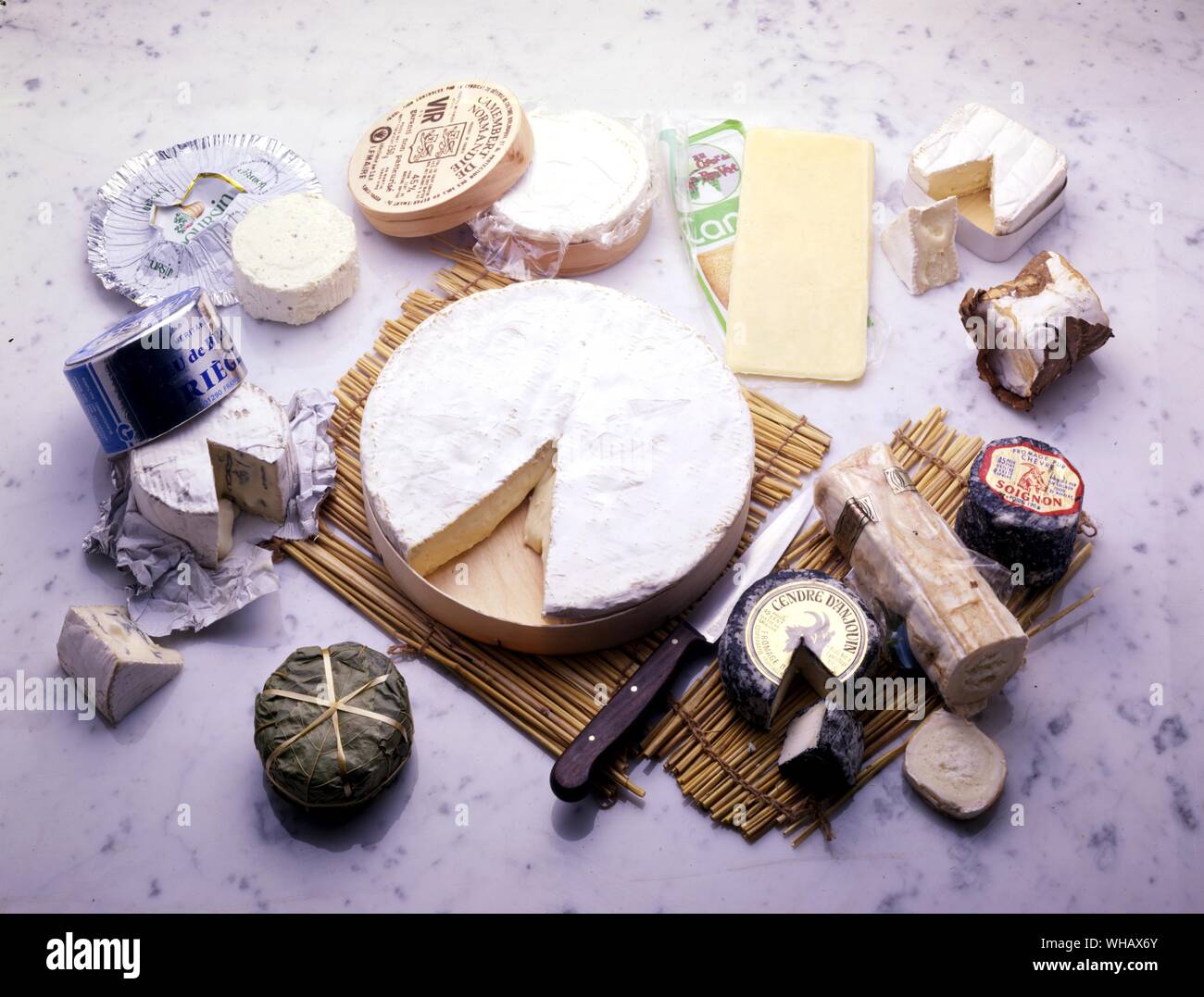 French Cheese. Banon. Bleu de Bresse. Boursin. Brie. Camembert. Cantal. Carre de L'est. Chevre Stock Photo