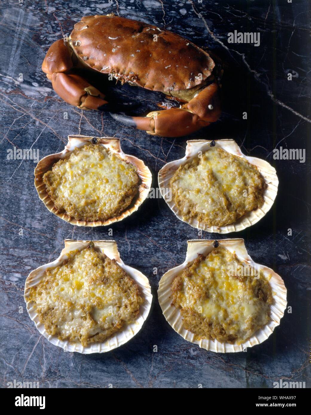 Scalloped Crab Stock Photo