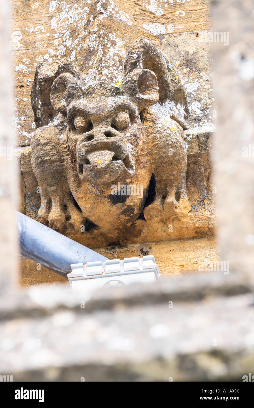 Medieval gargoyle on St Peters church (1465) in the Cotswold town of Winchcombe, Gloucestershire UK Stock Photo