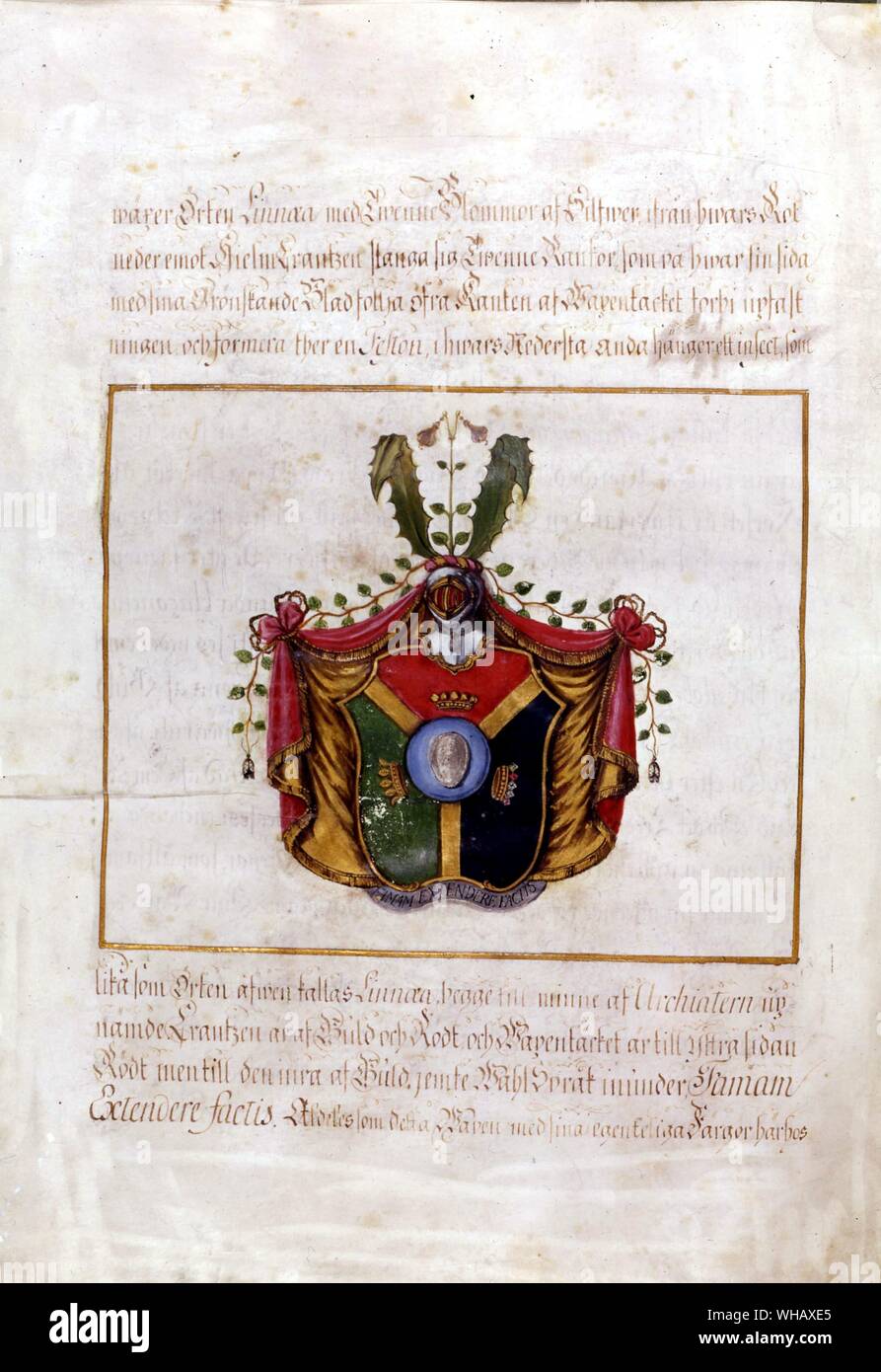 Patent of nobility with Linnaeus' Coat of Arms, Hammarby. Carl Linnaeus, also known after his ennoblement as Carl von Linné, and in English usually under the Latinized name Carolus Linnaeus (1707-1778), was a Swedish botanist who laid the foundations for the modern scheme of taxonomy. He is also considered one of the fathers of modern ecology. Stock Photo