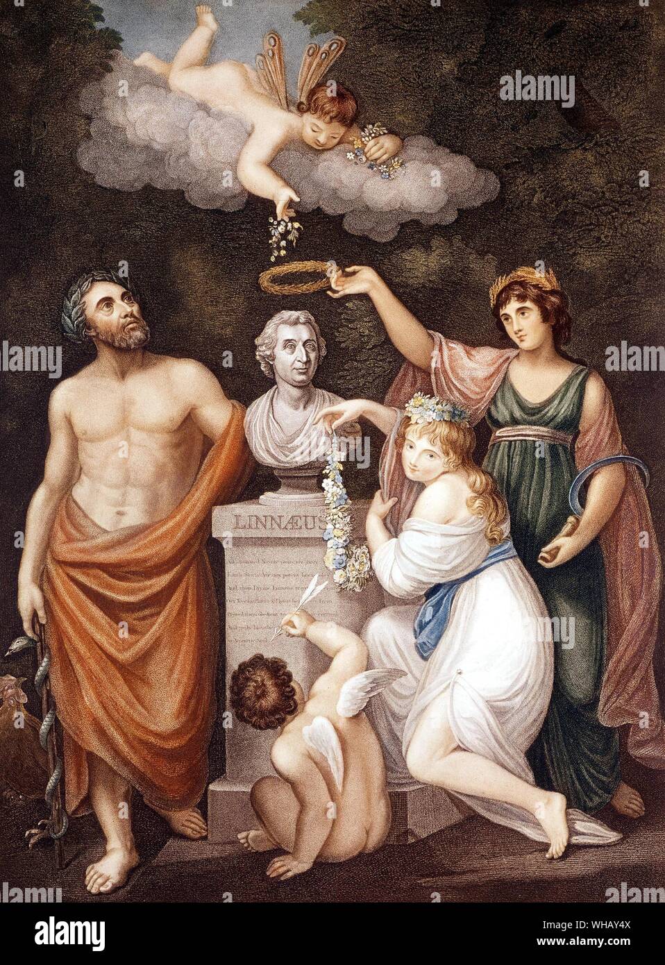 Temple of Flora by Dr. Robert John Thornton (1768-1837). Aesculapius Flora Ceres and Cupid, honouring the bust of Linnaeus. Stock Photo