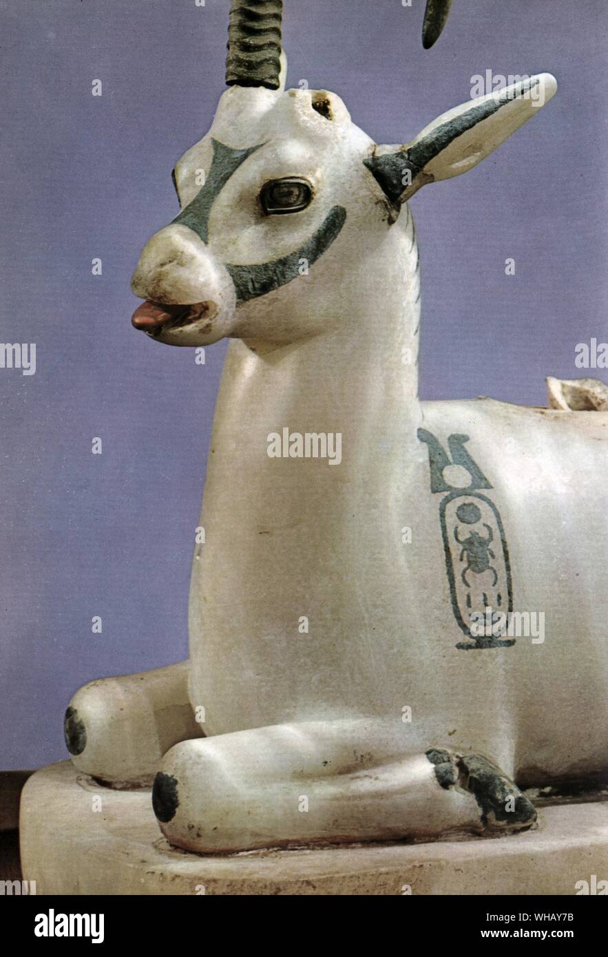 Unguent jar in the form of an ibex. Inlaid alabaster. The remaining horn is natural. Tukankhamen, by Christiane Desroches Noblecourt, page 213. Stock Photo