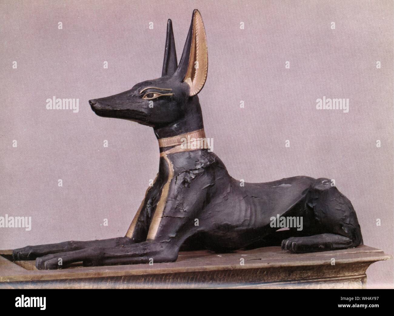 Tutankhamen in the form of the dog Anubis during the course of his transformations. Tukankhamen, by Christiane Desroches Noblecourt, page 252.. Anubis, is the Greek name for the ancient god of the underworld in Egyptian mythology, who guided and protected the spirits of the dead. The hieroglyphic is more accurately spelt Anpu (also Anup, Anupu, Wip, Ienpw, Inepu, Yinepu, or Inpw). Prayers to Anubis have been found carved on the most ancient tombs in Egypt. Anubis was painted black to further link him with the deceased - a body that has been embalmed became a pitch black colour. Black was also Stock Photo
