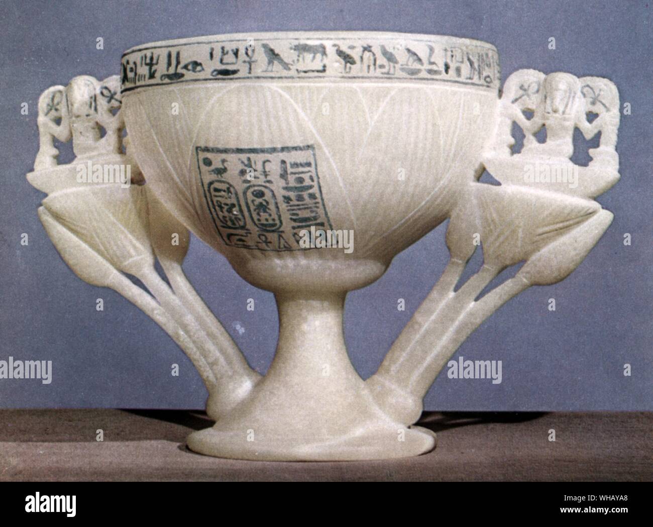 Drinking cup, found at the entrance of the tomb made of calcite, is sculpted in the form of a half open lotus flower. Tukankhamen, by Christiane Desroches Noblecourt, page 98. . The blue lotus was a symbol of the Sun God and the pharaohs. Like the sun that sets in the evening and rises in the morning, the lotus flower blooms in the day and closes each night. In one version of the creation myth, the sun first rose out of a giant lotus flower that bloomed on the primordial mound. The lotus thus became a symbol of rebirth, the renewal of life and the promise of everlasting life.. . Stock Photo
