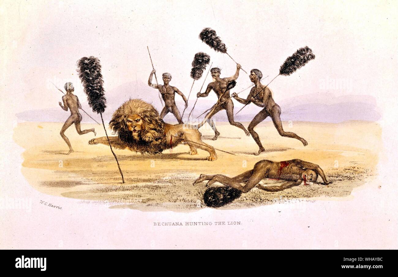 Bechuana hunting the lion. The Wild Sports of Southern Africa, Captain William Cornwallis Harris (1807-1848). The African Adventure - A History of Africa's Explorers by Timothy Severin, page 155.. . Tswana. Botswana Stock Photo