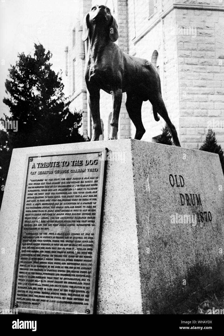 The famous dog monument in Missouri America, erected as a tribute to Old Drum by Senator George Vest and inspired by the dog's loyalty 1870 Stock Photo