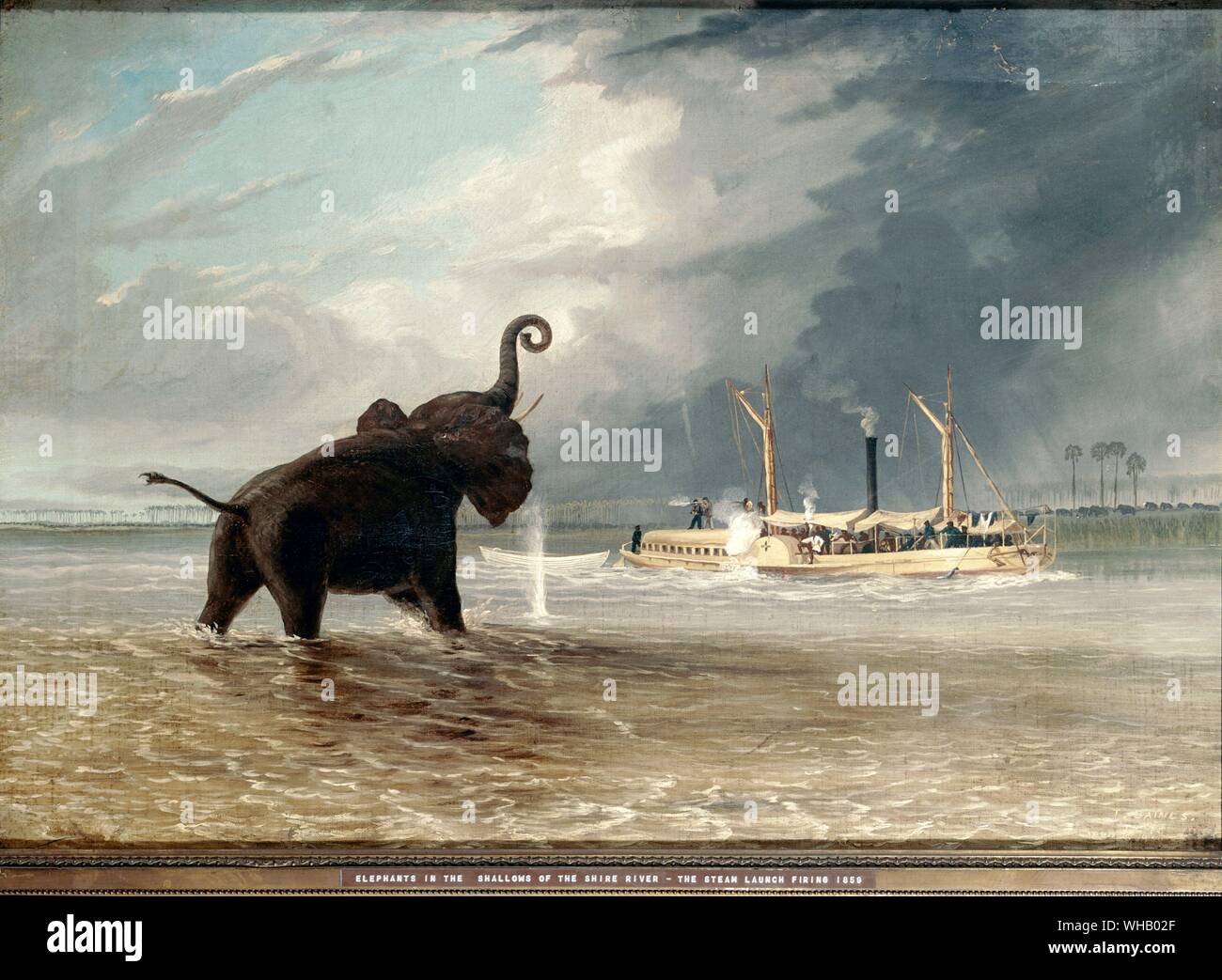 Ma Robert' and Elephants in the shallows of the Shire River - steam lauch firing - 1858-9. by Thomas Baines (1820-75). in the Royal Geographical Society, London, UK . John) Thomas Baines was an English artist and explorer of British colonial southern Africa and Australia.. . Stock Photo