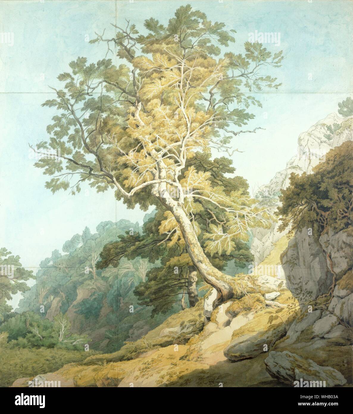 View near Canonteign by John White Abbott . Possibly John White Abbot 1763-1851 Chudleigh, Devonshire. in Victoria and Albert Museum (Cat. P.56 - 1924). Stock Photo