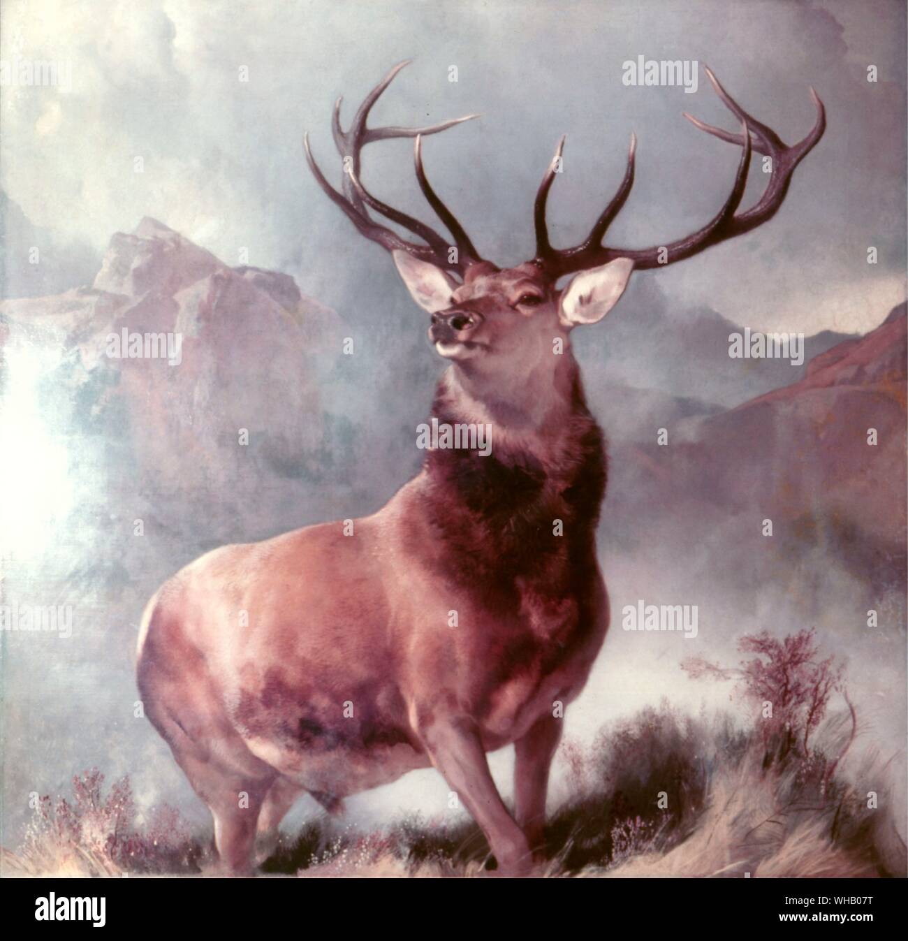 Monarch of the Glen, 1851 (oil on canvas) . Artist Landseer, Sir Edwin (1802-73) . Location United Distillers and Vintners - Dewar House. Sir Edwin Henry Landseer (March 7, 1802 - October 1, 1873) was a British painter, well known for his paintings of animals - particularly horses, dogs and stags. The best known of Landseer's works, however, are sculptures - the lions in Trafalgar Square, London.. Stock Photo