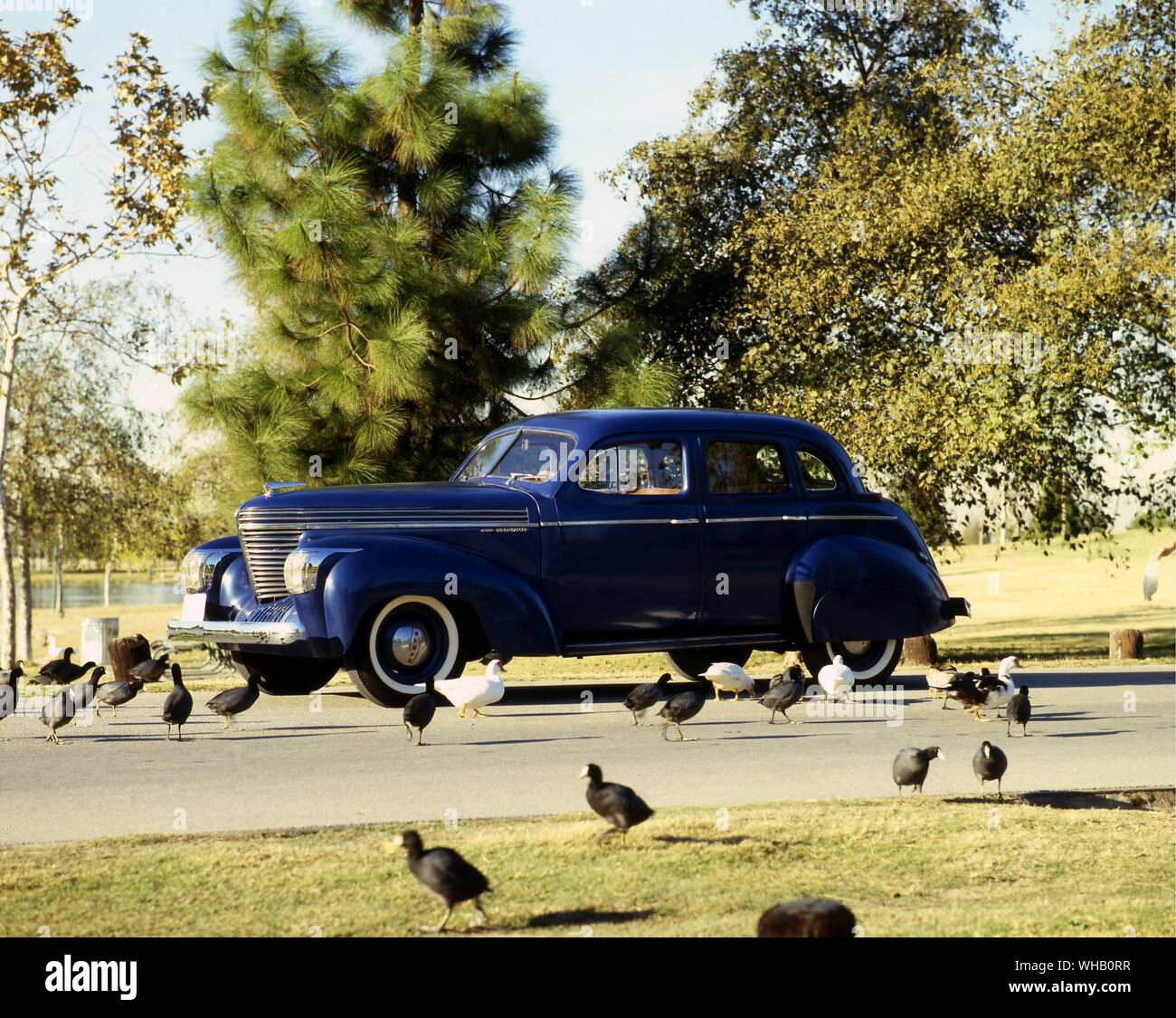 1939 Graham Sedan nick named sharknose. Lakewood, CA Stock Photo