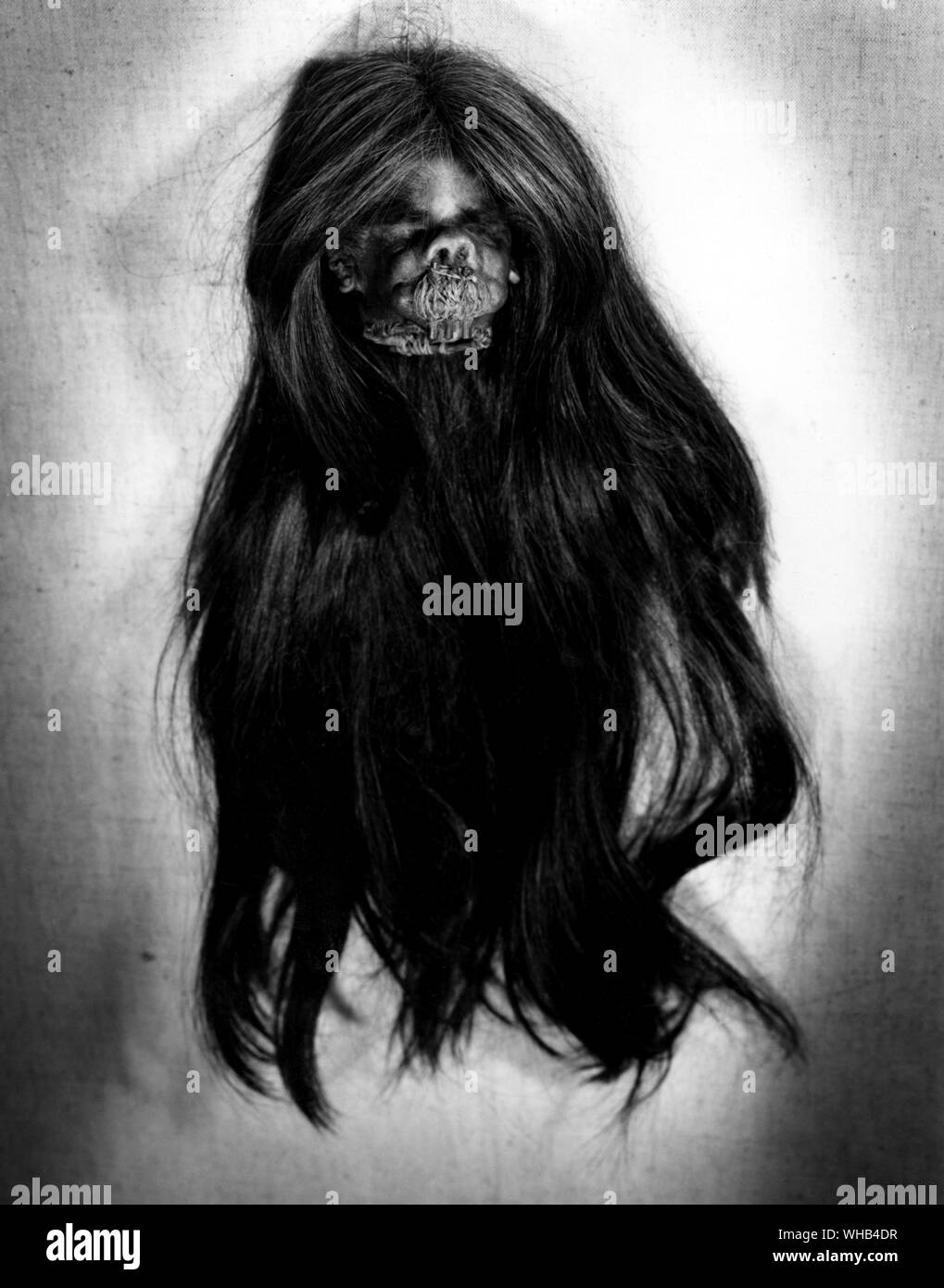 Human Shrunken Head Black And White Stock Photos And Images Alamy