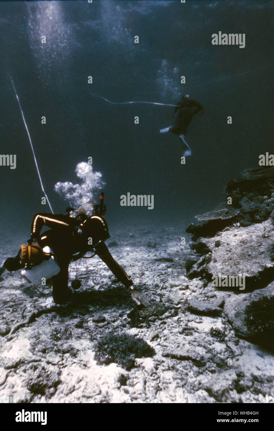 Diver underwater - Stock Photo