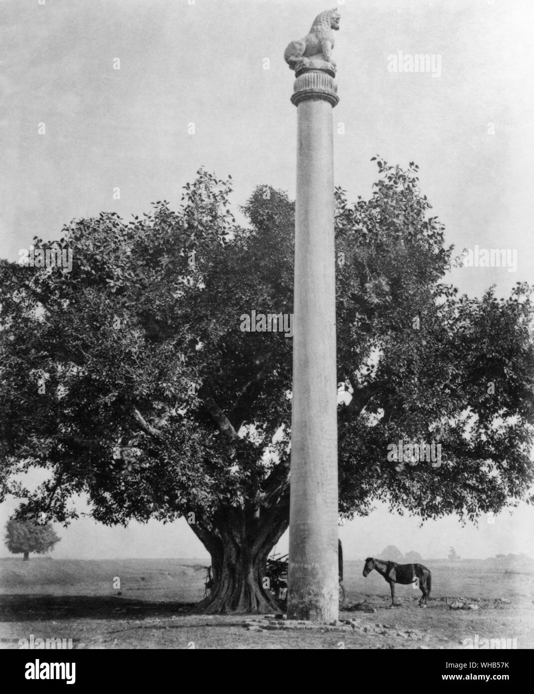 Ashoka Stambha, a monolithic free-standing column inscribed with edicts constructed by the Emperor Ashoka. Believed to cosmic. The stambha functions as a bond, which joins the heaven (Svarga) and the earth (prithvi). In the Atharva Veda, a celestial stambha is described as a scaffold, which supports the cosmos and material creation.. . Stock Photo
