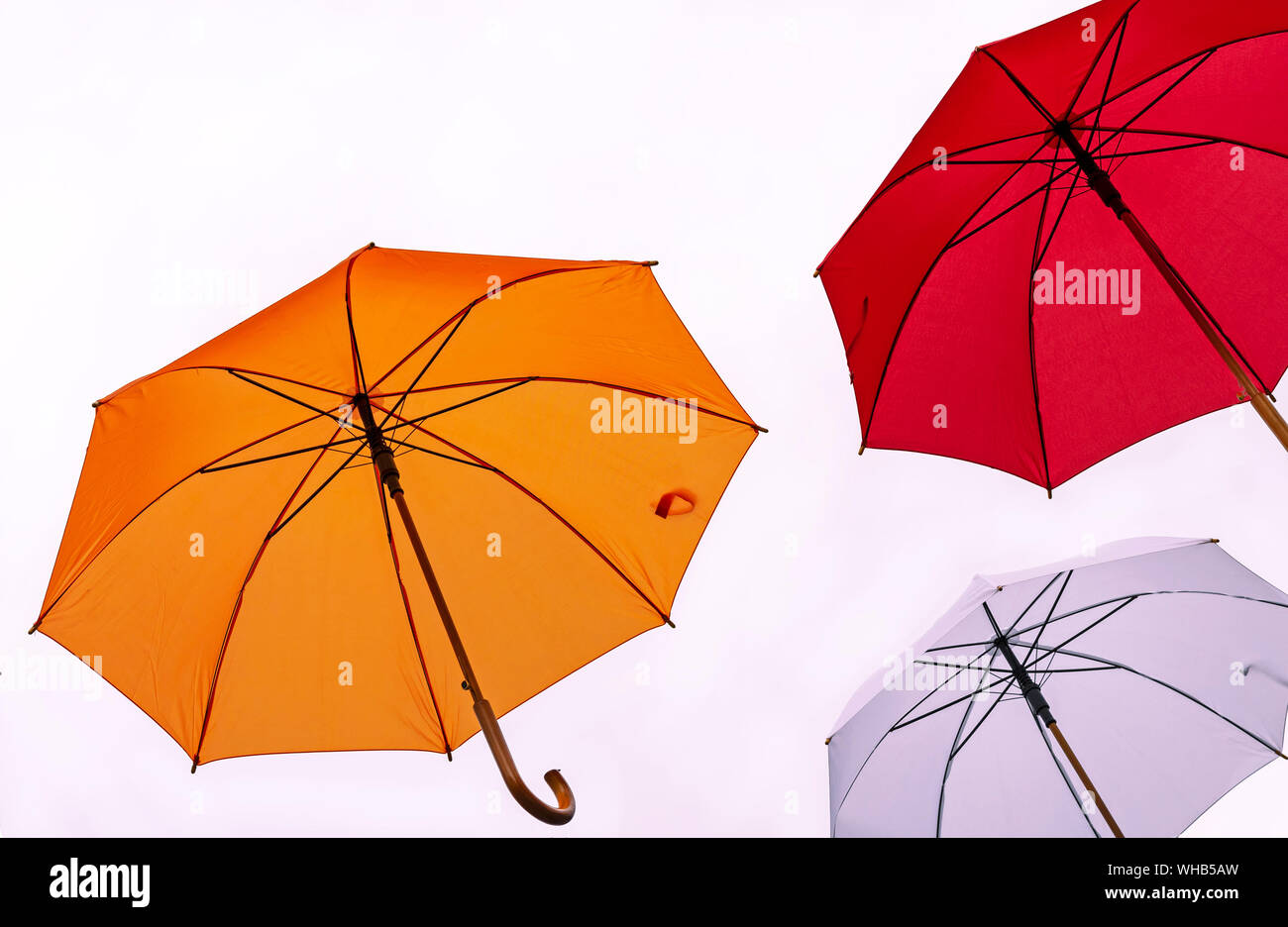 Three colorful umbrellas on a white background. Stock Photo
