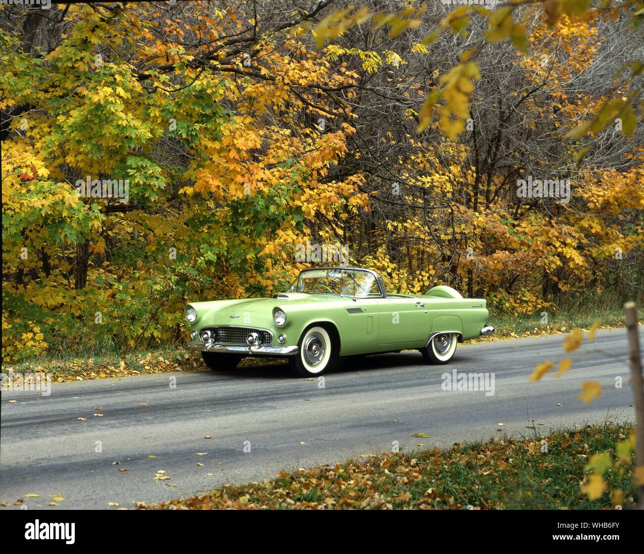 Transport road 1956. Ford Thunderbird Stock Photo
