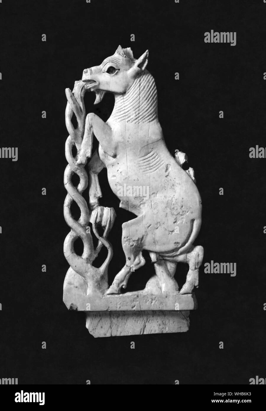 Iraq VIII century BC Ivory Goat from Nimrud - an ancient Assyrian city located south of Nineveh on the river Tigris.. Stock Photo