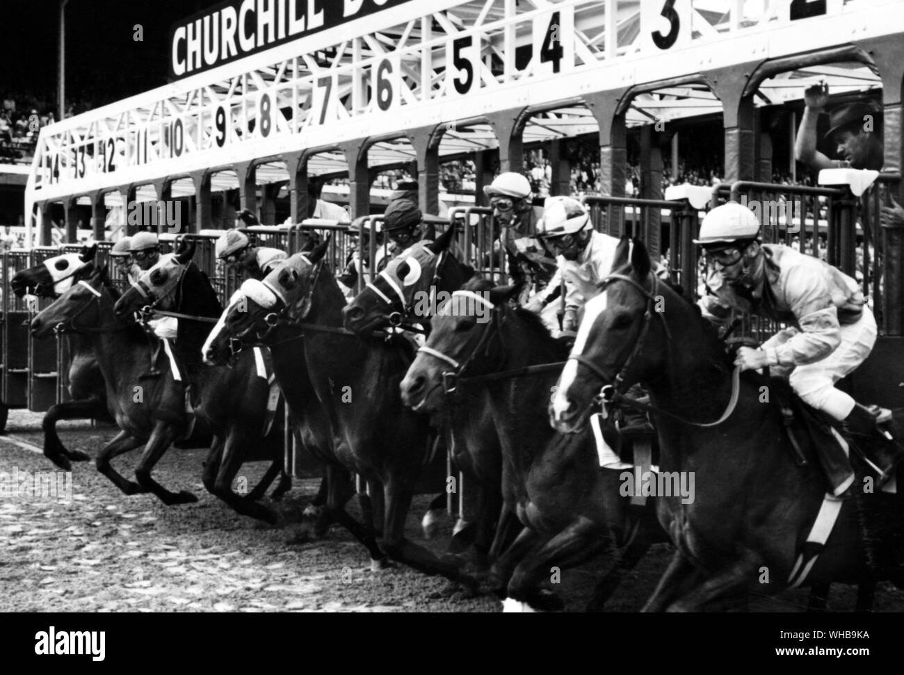 Horse racing at Kentucky , USA Stock Photo