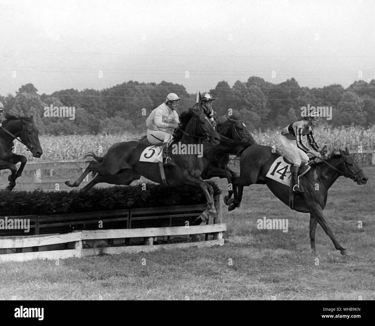 Middleburg Race Meet. Hunt Point to Point Race , Middleburg , Virginia , USA . 1974 Stock Photo