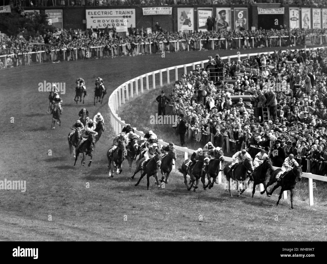 The Derby at Epsom : The field rounding Tattenham Corner. 25 May 1955. . In the lead in this photo, Cardington King, with Noble Chieftain and Praetorian behind. The winner, Phil Drake (jockey wearing white sleeves and cap) is nearest the rails among the horses at the rear. The favourite, Acropolis, who finished third, is fifth from the right. Stock Photo