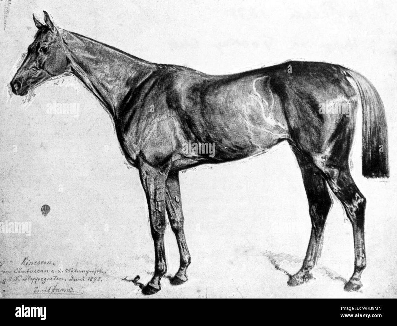Kinscem 1878 Hungarian Jockey Club Stock Photo
