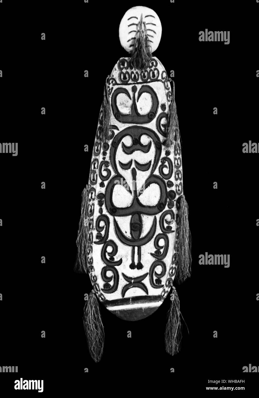 Shield ,  Asmat area , south west New Guinea . Height 55 inches or 139.7 cm. Courtesy Gallery 43 , London Stock Photo