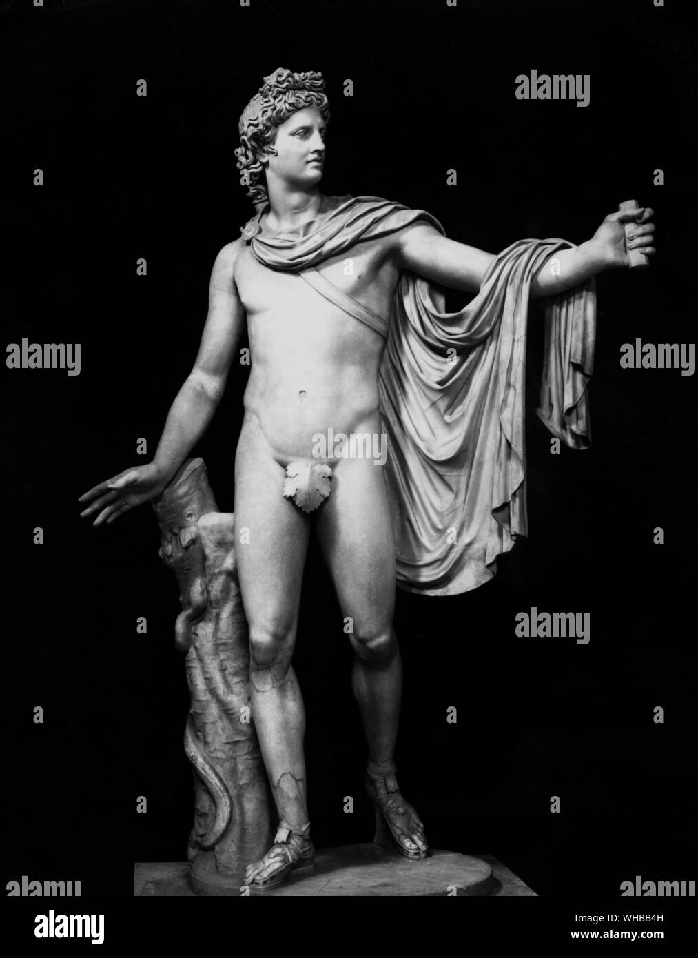 Apollo Belvedere .  Roman copy , ? 1st Century BC , marble , height 88 1/4 inches or 223 cm. The Vatican Museums & Galleries , Italy Stock Photo