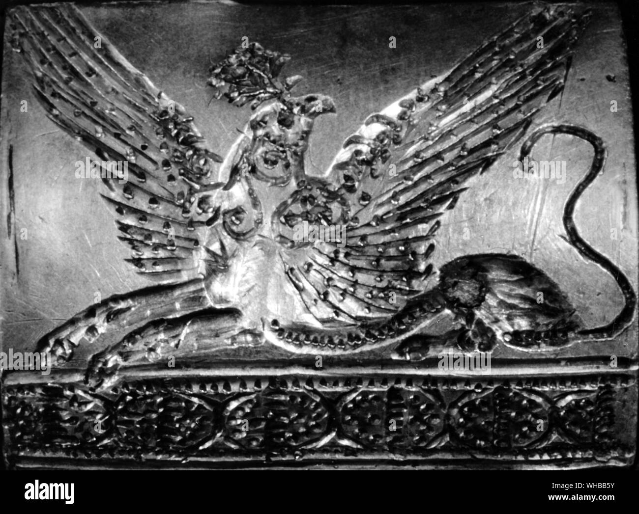 Youth seal hi-res stock photography and images - Alamy