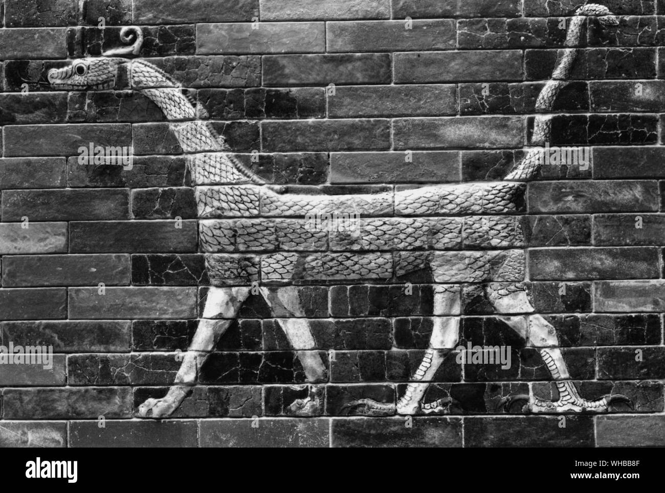 Relief of a dragon from the Iahtar Gate . Ishtar Gate was the eighth gate to the inner city of Babylon 575 BC Stock Photo