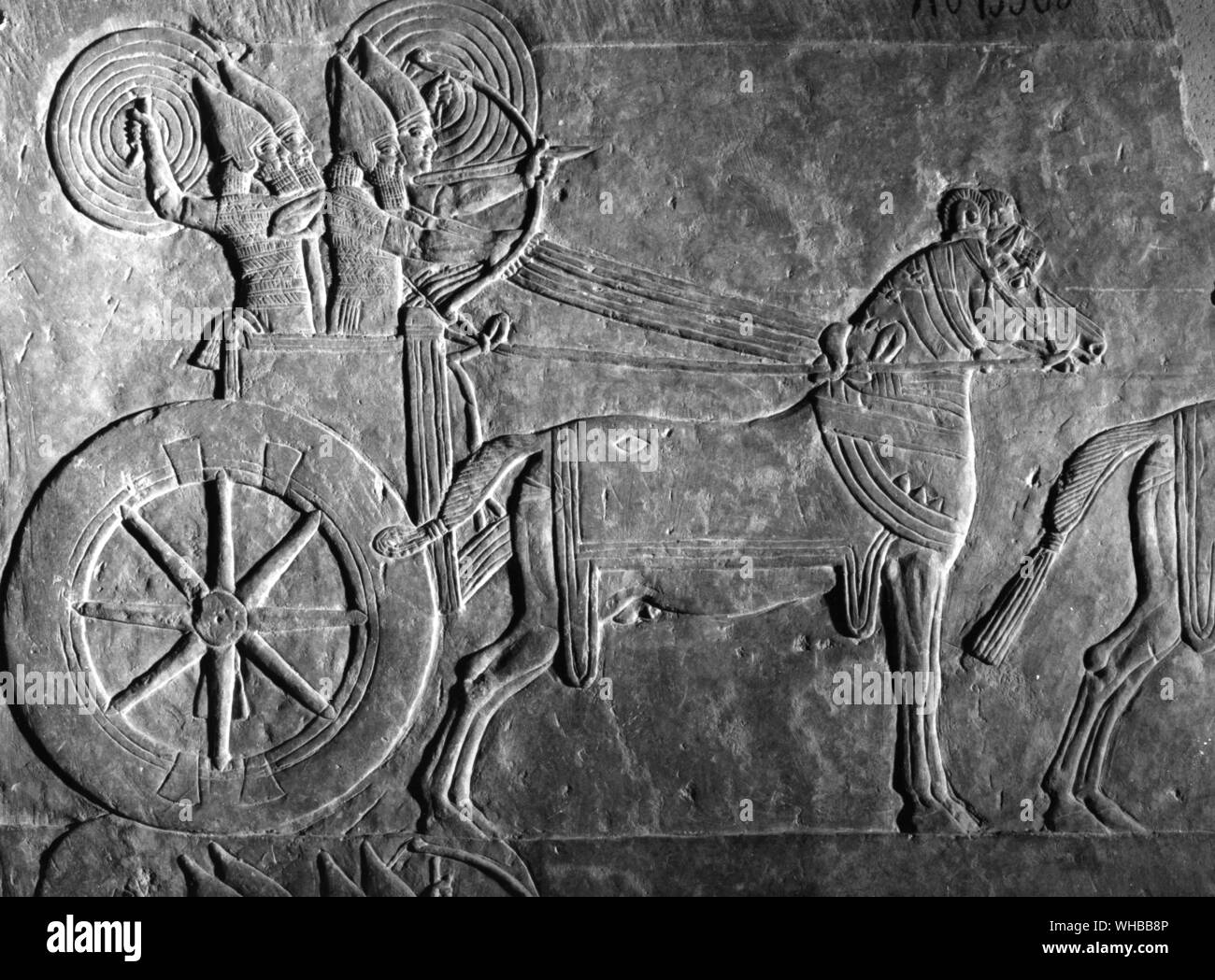 Assyrian relief from the Palace of Ashurbanipal : Mesopotamian chariot , 7th Century BC Stock Photo