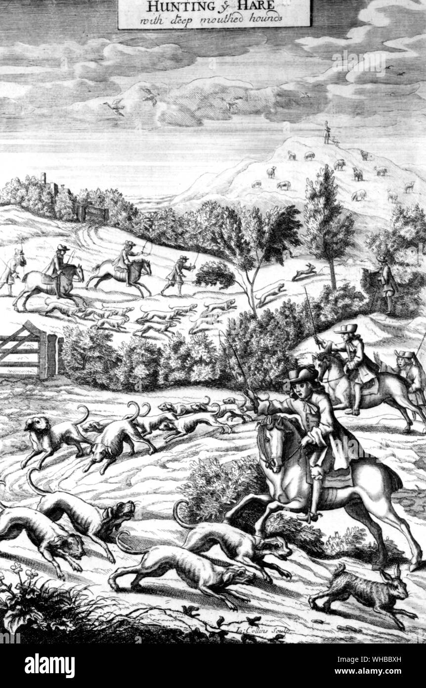 Engraving from The Gentleman's Recreation published by Richard  Blome 1686. Hunting Hare Stock Photo