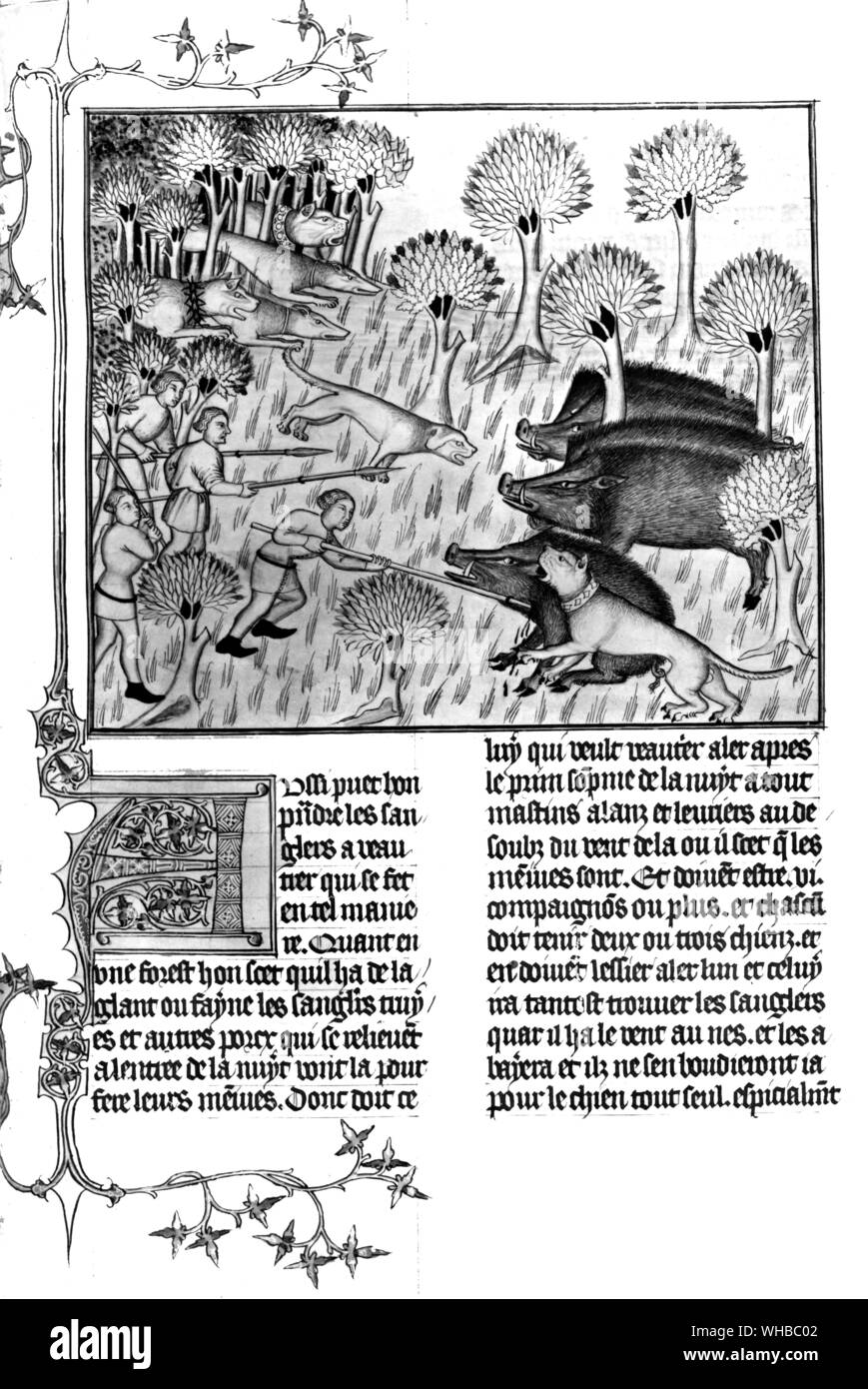 15th Century Boar Hunt. Stock Photo