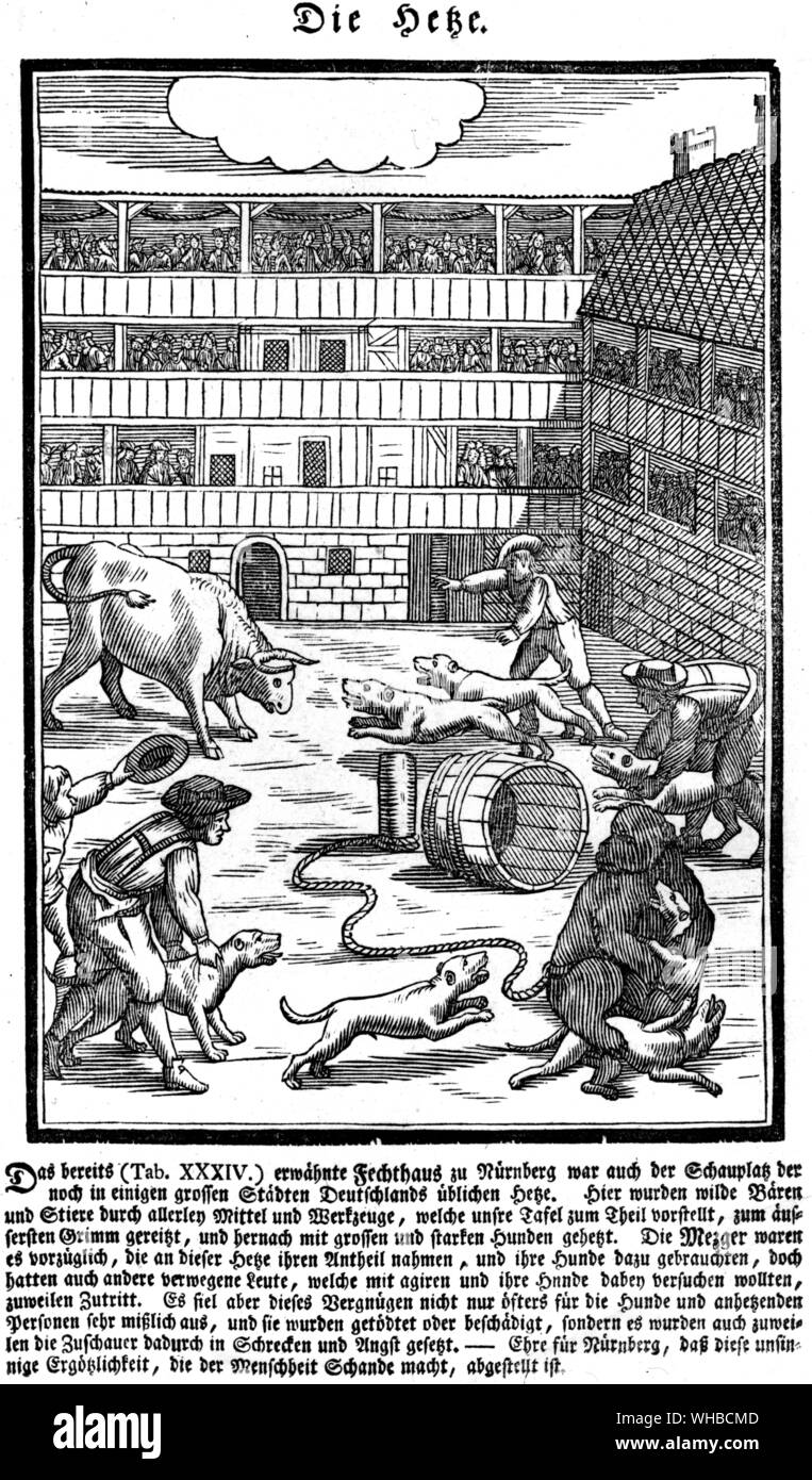 Woodcut of bull and bear baiting in the Fechthaus , Nuremberg . Animal baiting was among the sports with which the Elizabethans refreshed their zest for life . 1689 Stock Photo