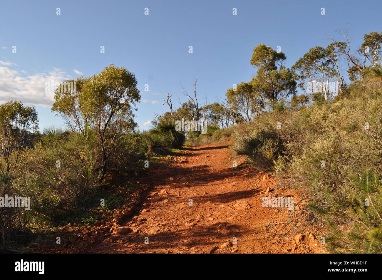 Red dirt track and bushland, Whistlepipe Gully Walk, Mundy Regional Park, Perth Hills, Western Australia, Australia Stock Photo
